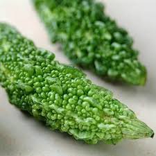 Karol Bitter Vegetable Seeds for Planting – Heirloom Non-GMO, High Germination Organic Garden Seeds