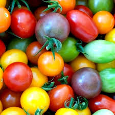 Mixed Colour Tomato Seeds for Planting – Heirloom Non-GMO Variety Pack – Organic Garden Seeds, High Germination