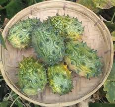 Jelly Melon Seeds for Planting – Heirloom, Non-GMO, Exotic Organic Garden Seeds – High Germination, Sweet-Sour Spiky Fruit