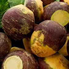 Brown Purple Rutabaga flower seeds for planting - Heirloom & Non-GMO Garden Seeds