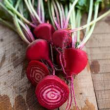 Chioggia Flower Seeds for Planting – Heirloom, Non-GMO, High Germination – Organic Garden Seeds