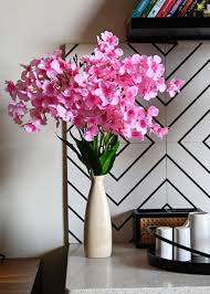 Fuchsia Dames Rocket Flower Seeds for Planting – Heirloom, Non-GMO, High Germination Organic Garden Seeds