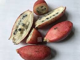 Orange Green Velutina flower seeds for planting - Heirloom & Non-GMO Garden Seeds