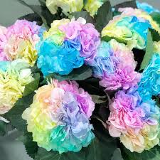 Flower Seeds, Seeds,Seeds For Planting,Plant Seeds
