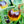 Vegetable Seeds,Garden seeds, Seeds For Planting,Plant Seeds