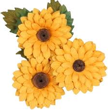 Heirloom Sunshine Flower Seeds for Planting – Cut Flower Favorite, Non-GMO, High Germination Organic Garden Seeds