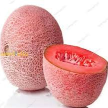 Pink Cantaloupe fruit seeds for planting - Heirloom & Non-GMO garden seeds, sweet flavorful melon variety
