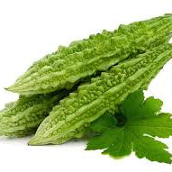 Vegetable Seeds,Garden seeds, Seeds For Planting,Plant Seeds