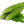 Vegetable Seeds,Garden seeds, Seeds For Planting,Plant Seeds