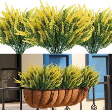 Light Yellow Lavender Flower Seeds for Planting – Heirloom, Non-GMO, Premium Quality Organic Garden Seeds