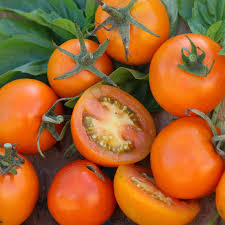 Dark Orange Big Tomato Seeds for Planting- Heirloom Non-GMO Organic Garden Seeds, High Germination, Meaty Bright Variety