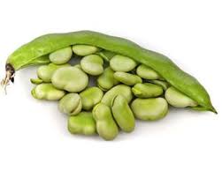 Fava Bohnen flower seeds for planting - Heirloom & Non-GMO Garden Seeds