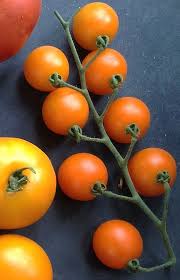 Dark Orange Big Tomato Seeds for Planting- Heirloom Non-GMO Organic Garden Seeds, High Germination, Meaty Bright Variety
