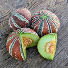Kajari Melon Seeds for Planting – Heirloom, Non-GMO, Sweet Striped Organic Garden Seeds – High Germination Melons