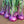 Azur Star Organic Glass Bowl Vegetable Seeds for Planting – heirloom & non-GMO seeds, unique kitchen variety