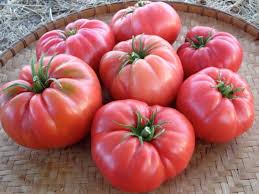 Dark Pink Tomato Seeds for Planting – Heirloom, Non-GMO, High Germination Organic Seeds for Sweet, Colorful Tomatoes