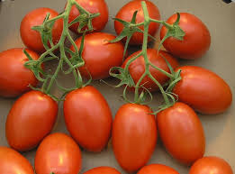 Tomato Vegetable Seeds for Planting – Heirloom Non-GMO, Deep Orange Hybrid, High Germination Organic Garden Seeds