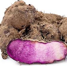 Dioscorea flower seeds for planting - Heirloom & Non-GMO Garden Seeds