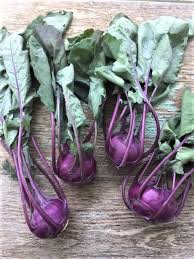 Azur Star Organic Glass Bowl Vegetable Seeds for Planting – heirloom & non-GMO seeds, unique kitchen variety