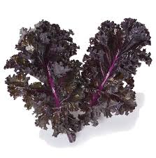 Kale Seeds for Planting Violet – Heirloom, Non-GMO, Colorful &amp; Nutritious Greens – High Germination