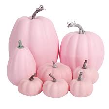 Pink Pumpkin Porcelain Seeds for Planting – Heirloom, Non-GMO, Rare Ornamental Pumpkin