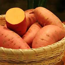 Deep Orange Sweet Potato Vegetable Seeds for Planting – Heirloom Non-GMO Orange Tubers –  High Germination Garden Seeds