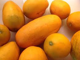 Thick Yellow Cucumber flower seeds for planting - Heirloom & Non-GMO Garden Seeds