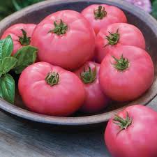 Thick Pink Tomato flower seeds for planting - Heirloom & Non-GMO Garden Seeds