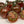 Big Huge Tomato Seeds for Planting – Brown Heirloom, Non-GMO, High Germination Organic Garden Seeds for Large Harvests