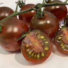 Tomato Seeds for Planting Maroon – Heirloom, Non-GMO, Rich Flavor – Organic Garden Seeds