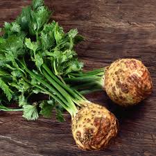 Brown Celeriac flower seeds for planting - Heirloom & Non-GMO Garden Seeds