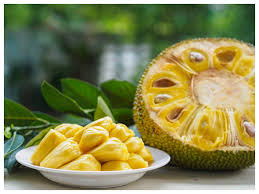 Black Gold Jackfruit seeds for planting - Heirloom & Non-GMO Garden seeds, tropical giant fruit with sweet flesh