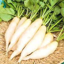 White Carrot Seeds for Planting – Heirloom, Non-GMO, Rare Root Variety – Organic Garden Seeds