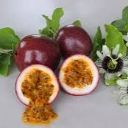Dark Red Passion fruit seeds for planting - Heirloom & Non-GMO garden seeds, rich tropical flavor variety