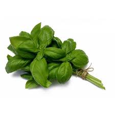 Basil Vegetable Seeds for Planting – Heirloom, Non-GMO, Organic Garden Seeds, High Germination, Aromatic Kitchen Herb
