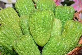 Bitter Gourd Round Green Chinese Variety flower seeds for planting - Heirloom & Non-GMO Garden Seeds