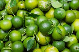 Green Orange Kumquat Fruit Seeds for Planting – Heirloom, Non-GMO Seeds with Antioxidants – 100 pcs