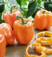 Orange Pepper flower seeds for planting - Heirloom &amp; Non-GMO Garden Seeds