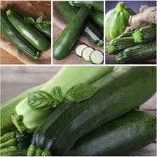 Zucchini Black Beauty Seeds – High Yield, Fast-Growing Summer Squash for Home Garden