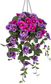 Heirloom Hanging Pansy Flower Seeds for Planting – Non-GMO, Fragrant Blossoms Organic Garden Seeds