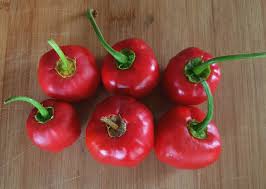 Rocoto Manzano flower seeds for planting - Heirloom & Non-GMO Garden Seeds