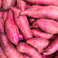 Murasaki Sweet Potato Vegetable Seeds for Planting – Heirloom Non-GMO Dark Pink Tubers –  High Germination