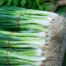 Green Fistulosum Spring Onion flower seeds for planting - Heirloom & Non-GMO Garden Seeds