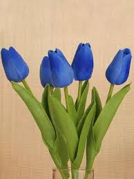 Deep Blue Tulip Flower Seeds for Planting – Heirloom Non-GMO Organic Garden Seeds – Shade Tolerant, High Germination