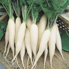 Radish Vegetable Seeds for Planting – Heirloom Non-GMO Green Mix Roots – High Germination, Organic Garden Seeds