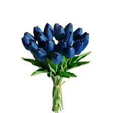 Deep Blue Tulip Flower Seeds for Planting – Heirloom Non-GMO Organic Garden Seeds – Shade Tolerant, High Germination