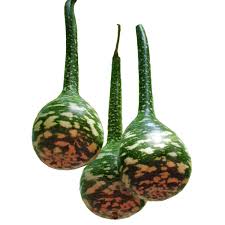 Dipper Bottle Gourd Seeds for Planting – Heirloom, Non-GMO – Unique Bottle-Shaped Gourds for Organic Gardens & Crafts
