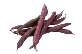 Black Turtle Pole Bean Plant Seeds for Planting – Heirloom Non-GMO High Germination Protein-Rich Hardy Beans