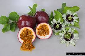 Red Mix Passion Fruit Seeds – Tropical Variety, Heirloom & Non-GMO Seeds for Planting