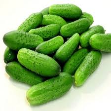 Gherkin Vegetable Seeds for Planting – Heirloom Non-GMO, High Germination Organic Garden Seeds